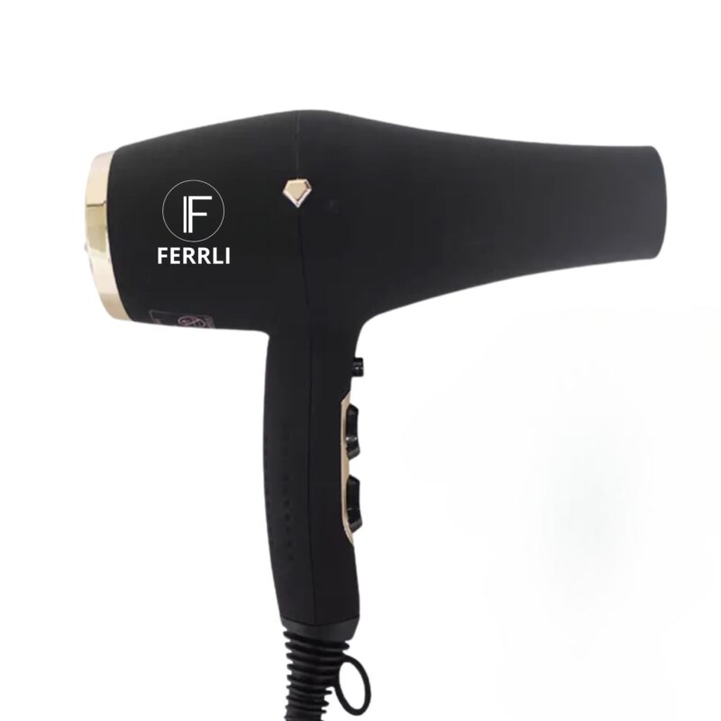 InfraV Infrared Hair Dryer