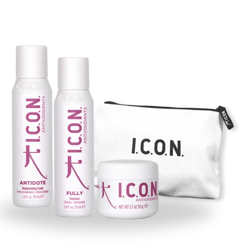 I.C.O.N. ANTIOXIDANTS maitinantis kelioninis rinkinys