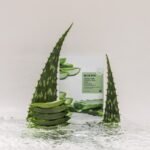 Veido kaukė MIZON Joyful Time Essence Mask Aloe MIZ888890114