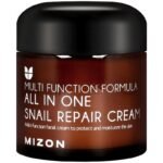 Veido kremas MIZON All in One Snail Repair Cream MIZ000001790, 75 g